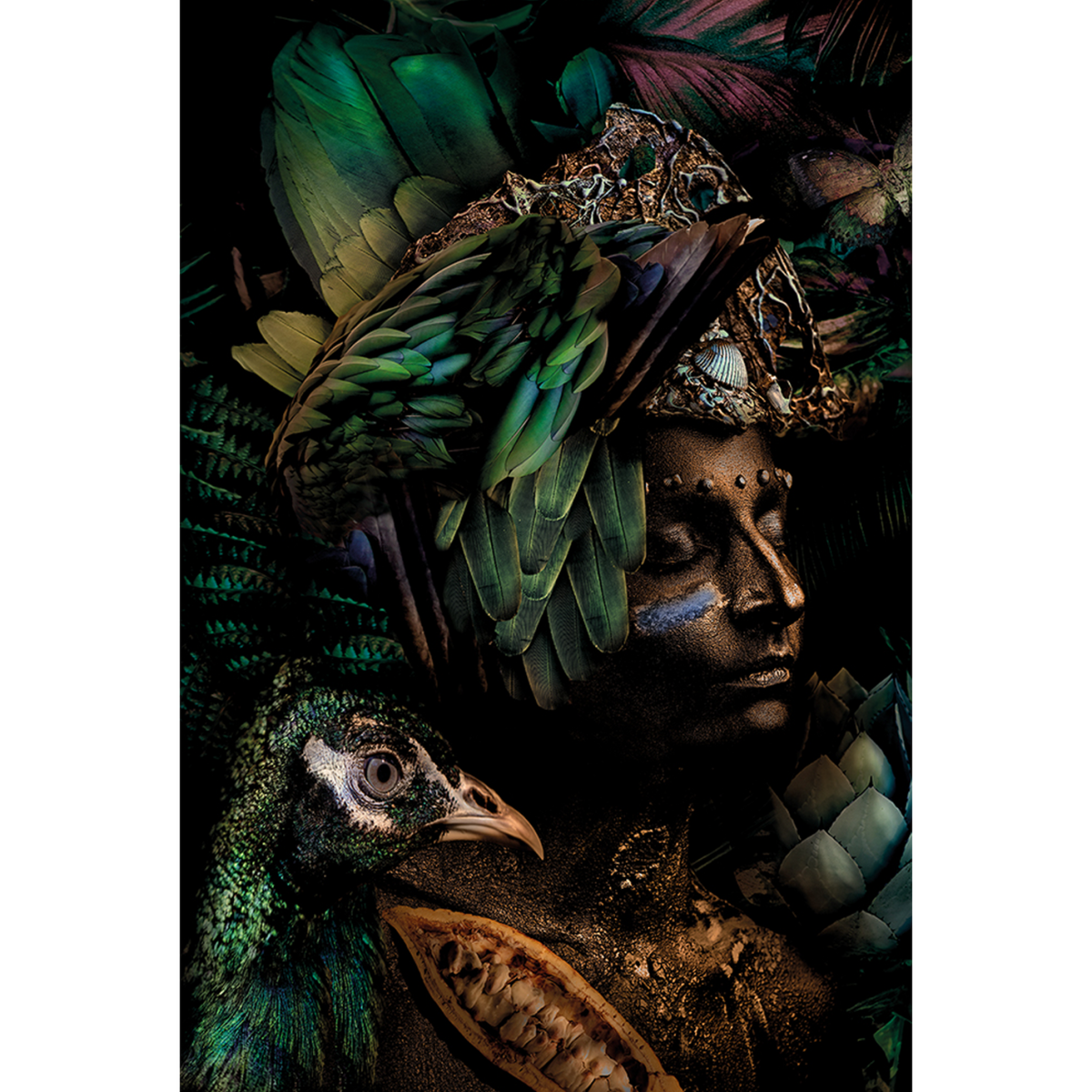 Plexiglas Amazonas part II